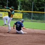 Heideköpfe mit 7 auf einen Streich in Bonn
