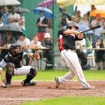 Warnung vor bissigen Alligatoren in Regensburg