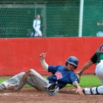 Wild Farmers schlagen sich selbst