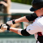 Maik Ehmcke wechselt zu den Arizona Diamondbacks