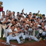 Buchbinder Legionäre Regensburg Deutscher Baseball Meister 2013