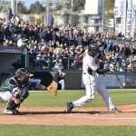 1. Baseball-Bundesliga startet Ende März in neue Saison