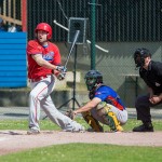 Viele Hits und Runs sowie ein Sieg der HSV Stealers
