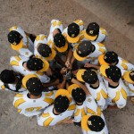 Sweeps für Heimteams am Samstag / Disciples mit Walk-Off-Sieg