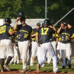 Bad Homburg Hornets auf Rang vier bei Finkstonball