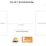 Livestreams und Liveticker in Play-offs und Play-downs