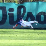 Stealers beginnen Saison / Regents empfangen Wanderers