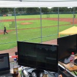 Alle Viertelfinals der 1. Baseball-Bundesliga im Livestream