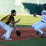 1. Baseball-Bundesliga startet Anfang April in Saison 2017