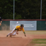 Heimsiege am Sonntag in 1. Baseball-Bundesliga / Hamburg wahrt Chancen