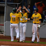 Playoffs: Heidenheim startet als Favorit / Aufsteiger fordert Titelverteidiger