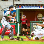 Dohren weiter auf Play-off-Kurs / Mainz mit Split in Regensburg