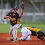 Bonn Capitals und Heidenheim Heideköpfe erreichen Finalserie