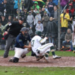 Zum dritten Mal in Folge: Heidenheim und Bonn spielen um die deutsche Krone