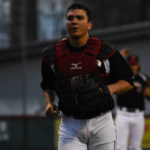 Vorschau auf 2018: Mannheim Tornados