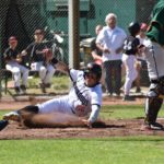 Mannheim mit 8:3-Sieg zum Doppelerfolg gegen Hornets