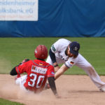 Mainz erledigt Pflichtaufgabe in Ulm / Mannheim unterliegt Regensburg