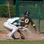 Starkes zweites Inning bringt Bonn in Solingen auf Siegerstraße