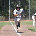 Mannheim macht kurzen Prozess mit Falcons