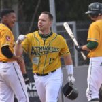 Mainzer Aufholjagd wird belohnt