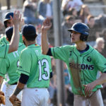 IT sure Falcons revanchieren sich in Mannheim