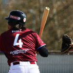 Heideköpfe setzen Ausrufezeichen in Mainz / Stuttgart siegt doppelt in Haar