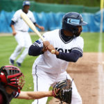 Heideköpfe machen kurzen Prozess