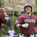 Heideköpfe überrennen Mannheim