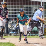 Dohren Wild Farmers ernten Sieg gegen Berlin