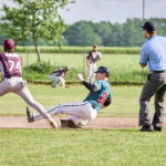 Wild Farmers mit Sweep gegen Berlin / Bonn legt gegen Paderborn vorn
