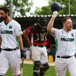 Countdown zum Saisonstart…IT sure Falcons Ulm