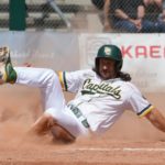 Bonn bleibt auch gegen Paderborn ungeschlagen / Hamburg rettet Split