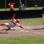 Köln Cardinals mit Heimsieg gegen Dohren Wild Farmers