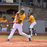 Best Batter Süd 2022: Austin Gallagher (Mainz Athletics)