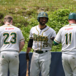 Mainz schockt Heideköpfe mit 11-Run-Inning bei Shutout