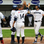 BECC: Heidenheim feiert Kantersieg / Regensburg verliert Pitcher-Duell